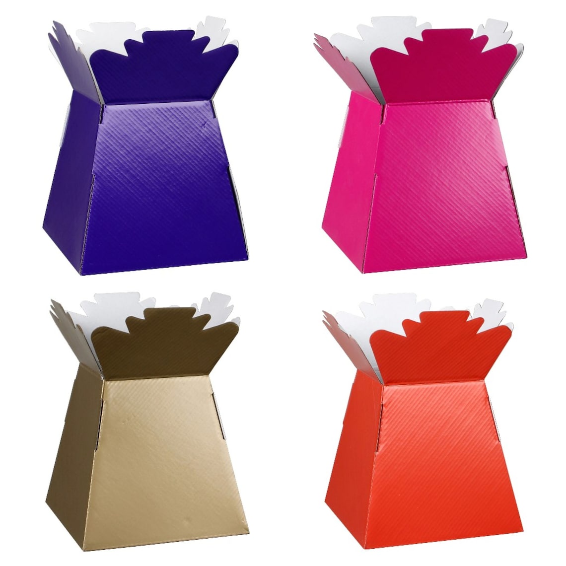 Living Vases Florist Bouquet Box Flower Plant Aqua Sweet Boxes Etsy