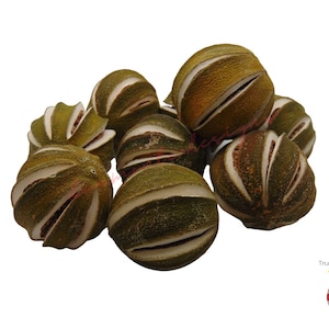 Dried Split Whole Limes Lime Fruit Christmas Craft Wreath Florist Decoration UK