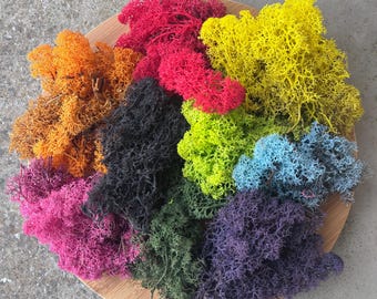 Decoración artesanal con estambres de flores secas preservadas de musgo de reno noruego natural.