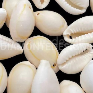 20 Pcs - Natural Ivory Colour Polished Cowrie Shell Beads Beach Jewellery Craft UK - K3