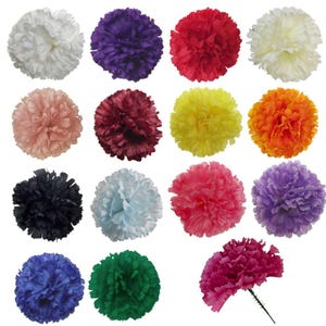 May include: A collection of artificial carnation flowers in various colors, including white, purple, red, yellow, orange, pink, black, blue, and green. The flowers are arranged in a grid pattern, with one flower detached and showing a stem.