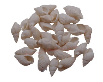 30 Pcs - Mixed Size Natural Spiral Shell Beads Beach Jewellery Craft UK - K54