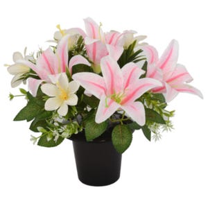 May include: A floral arrangement featuring pink and white lilies with green foliage in a black pot. The lilies have pink stripes and are surrounded by smaller white flowers and green leaves. The pot is a simple, solid black color.