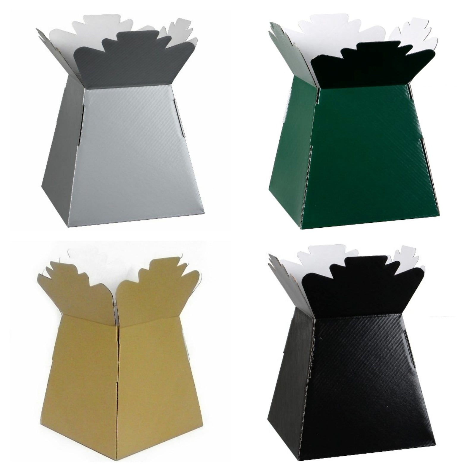 Living Vases Florist Bouquet Box Flower Plant Aqua Sweet Boxes Etsy