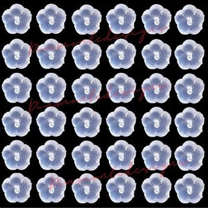 Può includere: Un pacchetto da 48 fermagli per orecchini in silicone trasparente. I fermagli hanno la forma di un fiore con un piccolo foro al centro. Sono progettati per aiutare a mantenere gli orecchini in posizione.