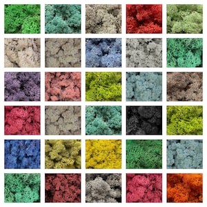 Natural Norwegian Reindeer Moss Preserved Dried Craft Flower Stamen Decoration