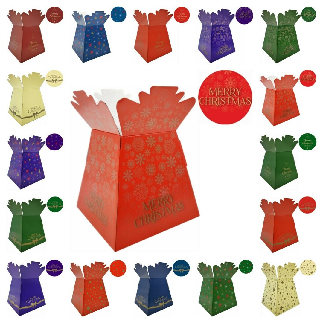 Merry Xmas Scroll Design Print Living Vase Flower Transporter Box Vases