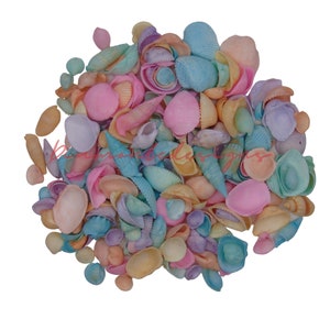Puede incluir: Una colección de conchas marinas de colores pastel en varias formas y tamaños. Las conchas son una mezcla de rosa, azul, morado y amarillo.