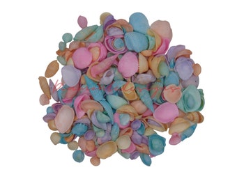 Pastel Dyed Mixed Natural Seashells Beach Shells Wedding Display Craft Aquarium Sea UK