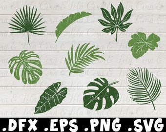 Download Tropical Leaf Svg Etsy