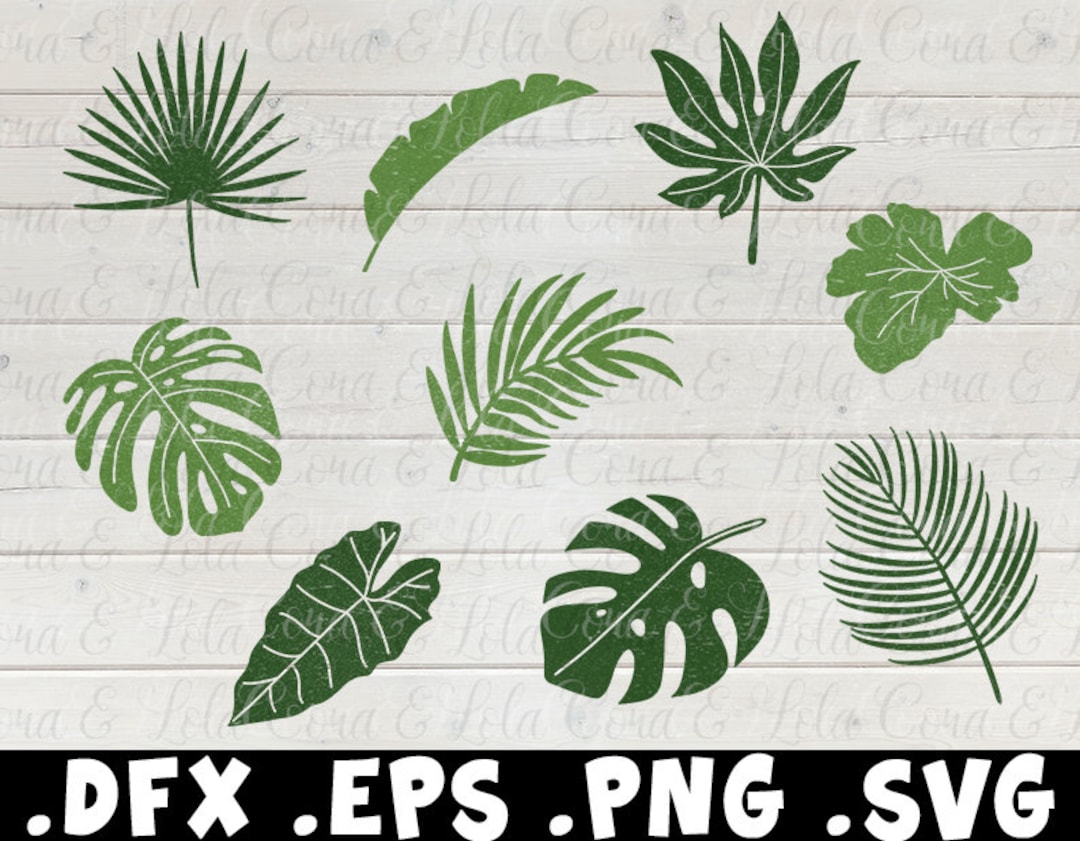 Tropical Leaves SVG Monstera Leaf SVG Clipart Tropical SVG Jungle ...