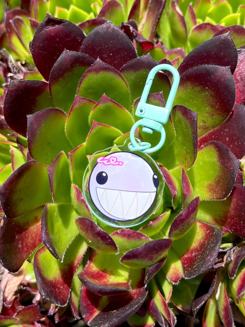May include: A clear acrylic keychain with a cartoon face design featuring a large grin, white teeth, and a light purple brain. The keychain has a light blue clasp and is set against a background of green and burgundy succulent leaves.