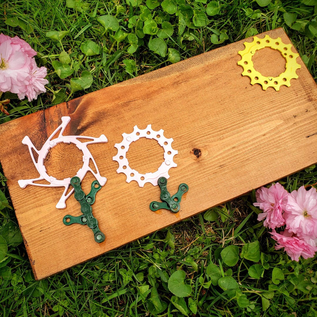 Photo inspiration: Picture Idea: Tow Pink Flowers In The Sun Stain 55 Bike Chain