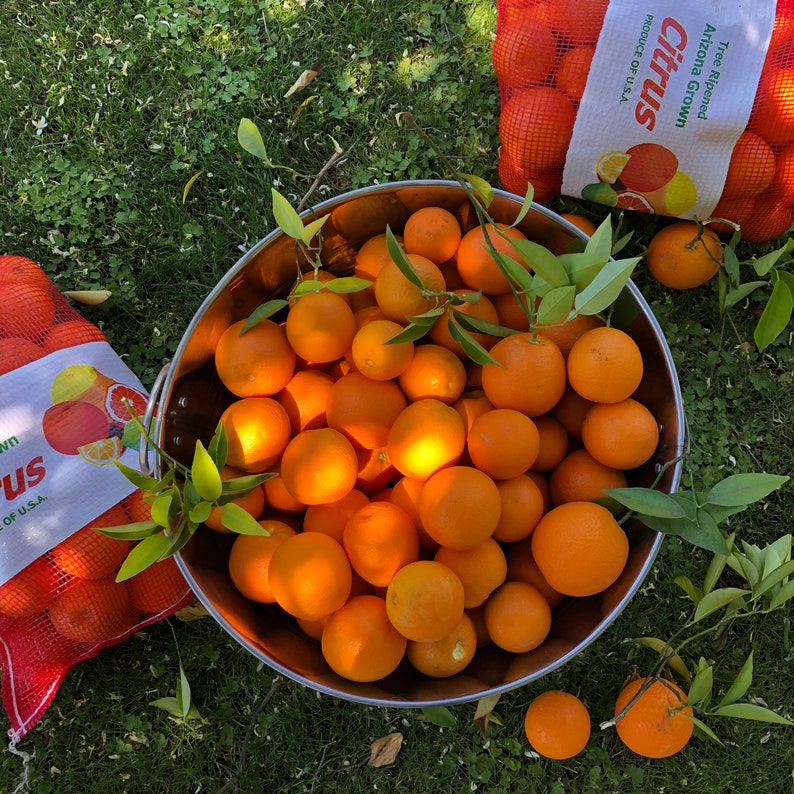 2 oz Valencia Orange Vitamin C Powder Etsy.de