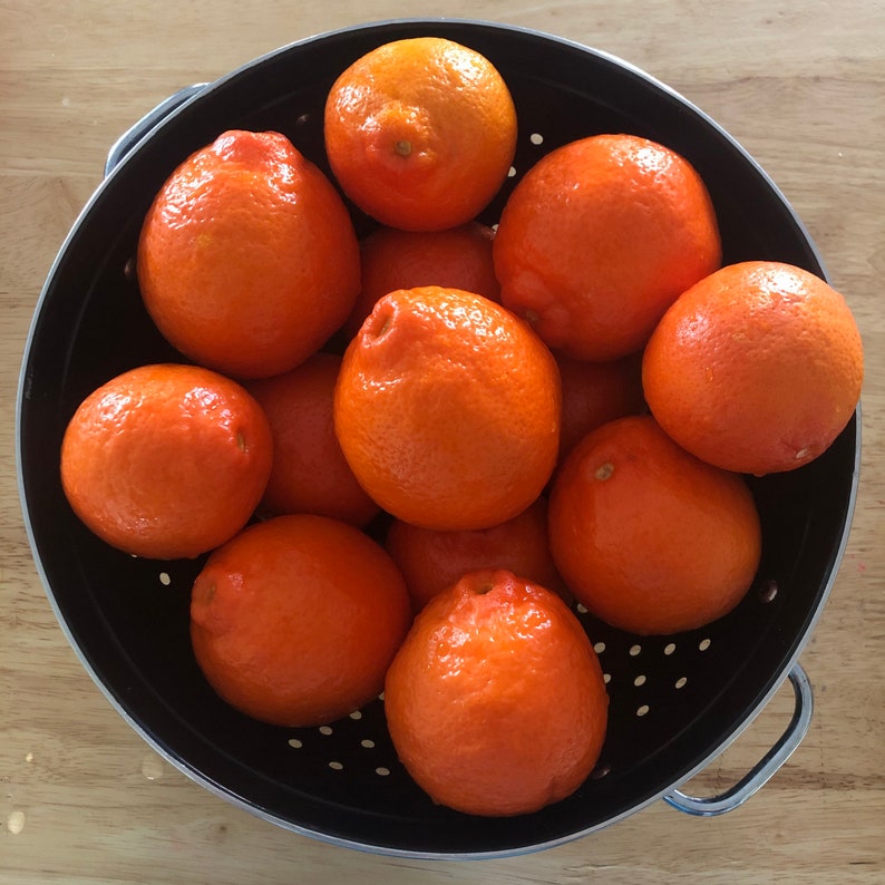 Honeybell Tangelo Tea Etsy