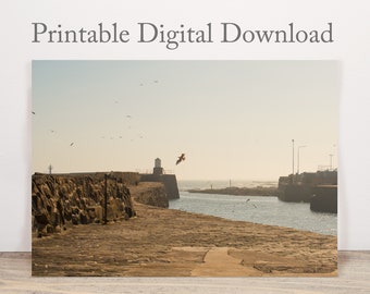 Lighthouse at the harbour | Coastal Landscape Photography Printable digital download | Ocean print | Seaside print | wall art
