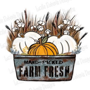 Farm Fresh Pumpkins, Fall Pumpkins Sublimation, Fall Pumpkin Png, Pumpkins In Bucket, Fall Png Files, Fall Clipart, Fall Sublimate Designs