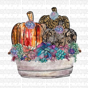 Fall Pumpkins Sublimation, Pumpkins In Bucket Png, fall sublimation, PNG Files, Autumn Sublimate Designs, Fall Png, Leopard Pumpkin Png