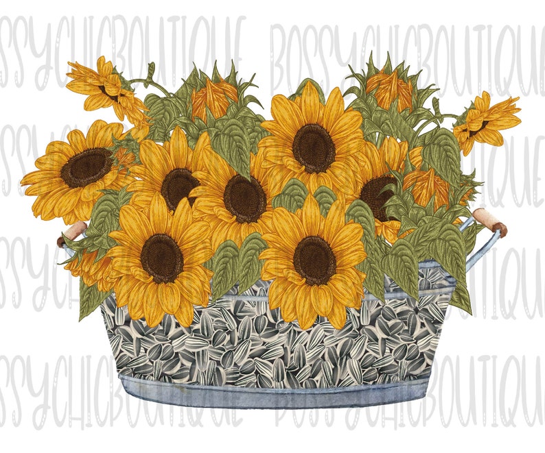 Free Free 67 Clipart Sunflower Seeds Png SVG PNG EPS DXF File