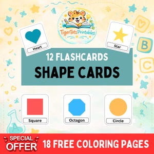 12 Shape Cards Montessori Flash Educational Preschool Rainbow Cartoon Printable Instant Download Homeschool Learning