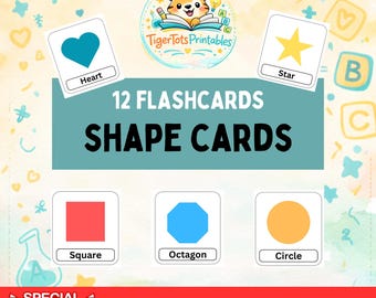 12 vormkaarten Montessori Flash Educatief Voorschoolse Regenboog Cartoon Afdrukbare Instant Download Homeschool Learning