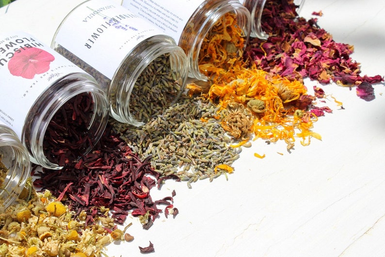 Floral Tea Sampler Herbal Starter / Edible Flowers / Care Etsy