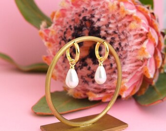 Golden pearl earrings hoop earrings 925 sterling silver white NOBEL JEWELRY