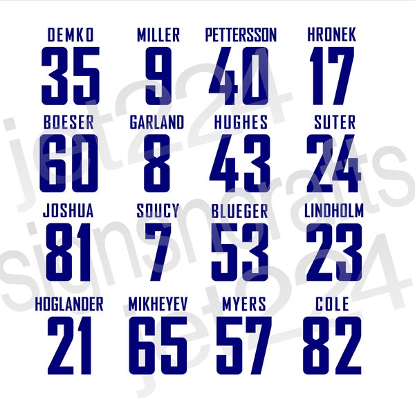 Vancouver Canucks STICKER DECAL Pettersson Miller Demko+