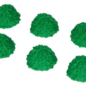 Bush (6)