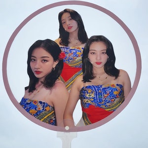 Custom Kpop Idol Fan / Picket image 7