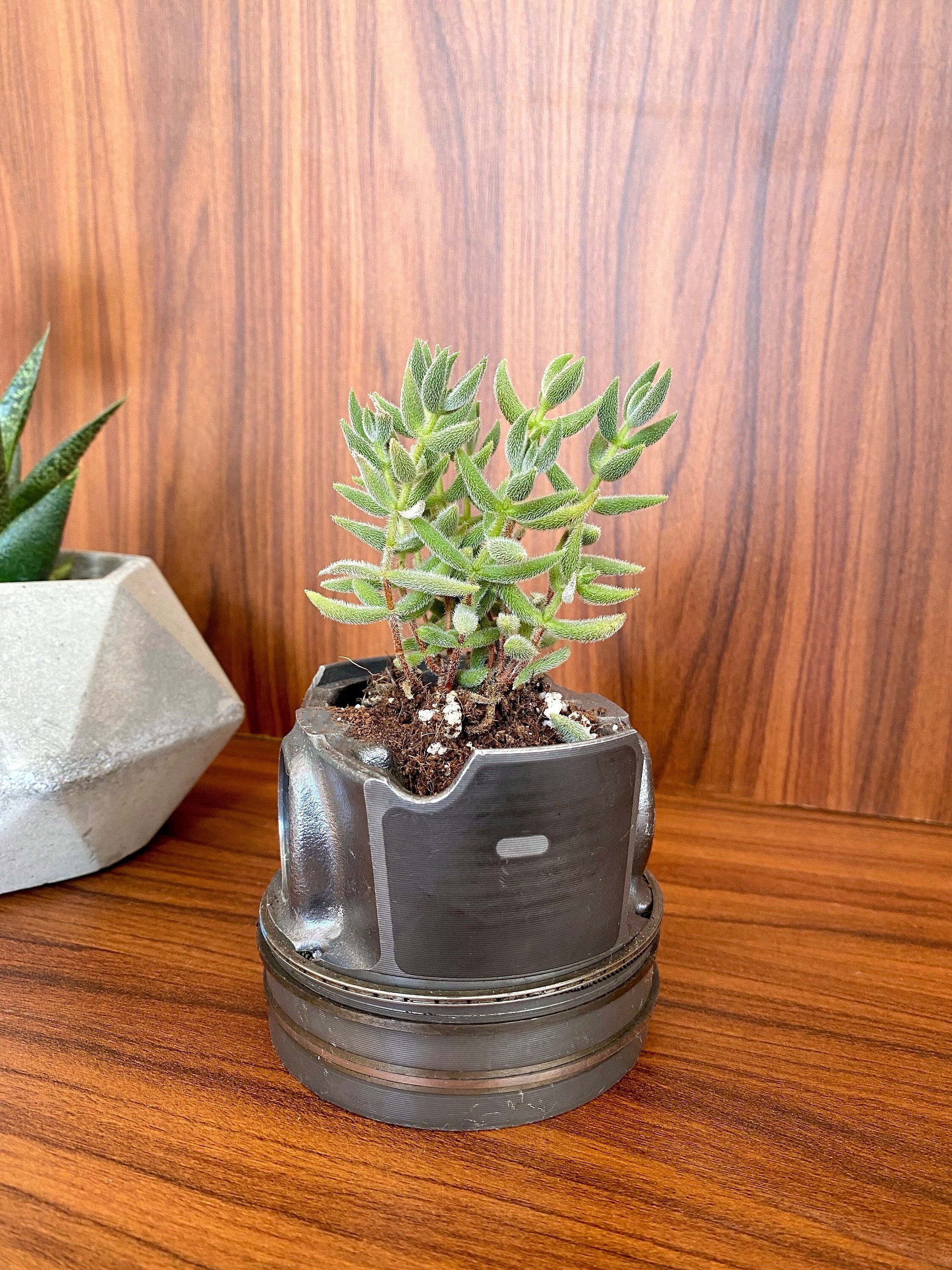 Real Car Piston Flower Pot / Real Car Engine Parts / Upcycled / Flower