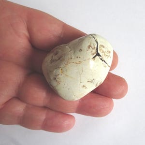 STAR AGATE, Australian amulet stone, lucky charm, jumbo palm stone, thunderegg