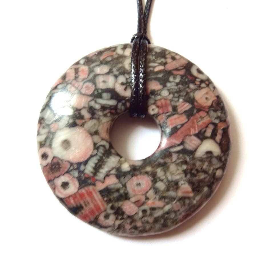 Lirio marino/troquita, disco de piedra preciosa, disco pi, rareza, donut de piedra preciosa, fósil