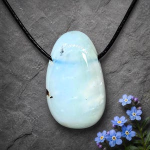 Può includere: Collana con pendente a goccia azzurro chiaro. Il pendente è sospeso a un cordino nero. La pietra è traslucida con sottili variazioni di colore. Un rametto di nontiscordardimé blu è sullo sfondo.