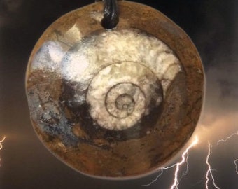 1 goniatite fossilisée, pendentif goniatite, fossile, pierre fossile