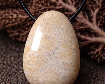 1 corail pétrifié, pendentif en corail, fossile, pierre fossilisée