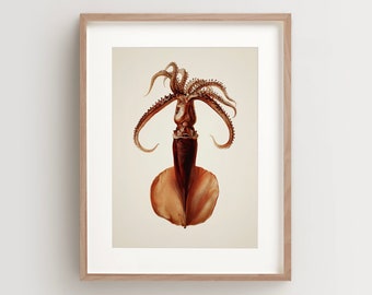 Squid Print, Vintage Squid Print, Squid Wall Art, Nautical Print Vertical