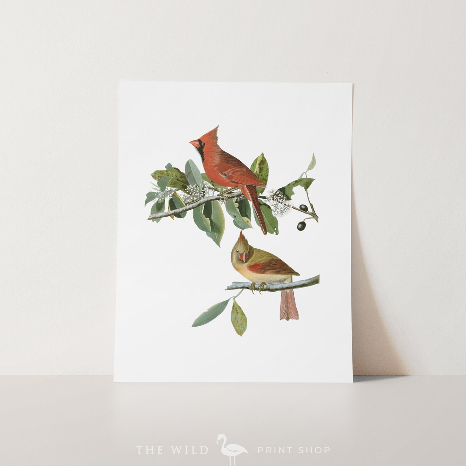 Vintage Bird Print Cardinal Print Bird Wall Art Audubon - Etsy