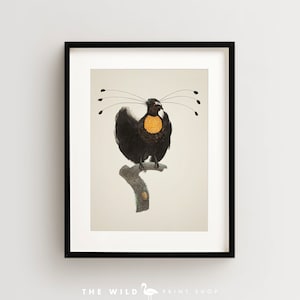 Bird of Paradise Print, Vintage Bird Print, Tropical Bird Print, Bird Wall Art, Bird Art Vertical