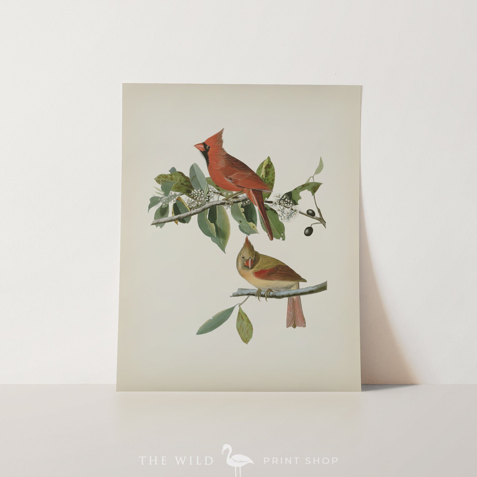 Vintage Bird Print Cardinal Print Bird Wall Art Audubon - Etsy