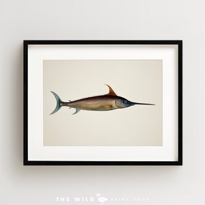 Vintage Fish Print, Tropical Fish Print, Fish Wall Art, Nautical Print, Horizontal