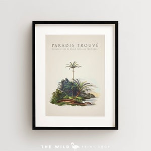 Palm Tree Print, Tropical Palm Print, Island Print, Vintage Botanical Print Vertical