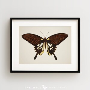 Vintage Butterfly Print, Butterfly Art Print, Butterfly Wall Art, Horizontal