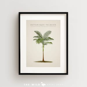 Palm Tree Print, Tropical Palm Print, Palm Tree Art Print, Vintage Botanical Print Vertical
