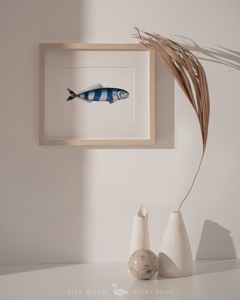 Fish Wall Art Vintage Fish Print Tropical Fish Print Nautical Print