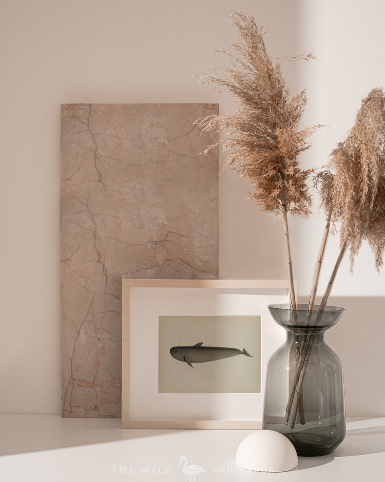 Vintage Wale Print Wale Wall Art Wale Print Nautical Print