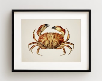 Crab Print, Vintage Crab Print, Crab Wall Art, Nautical Print, Horizontal