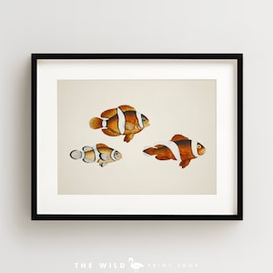 Vintage Fish Print, Tropical Fish Print, Fish Wall Art, Nautical Print, Horizontal