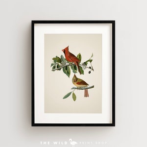 Vintage Bird Print, Cardinal Print, Bird Wall Art, Audubon Bird Print, Red Bird Art Vertical