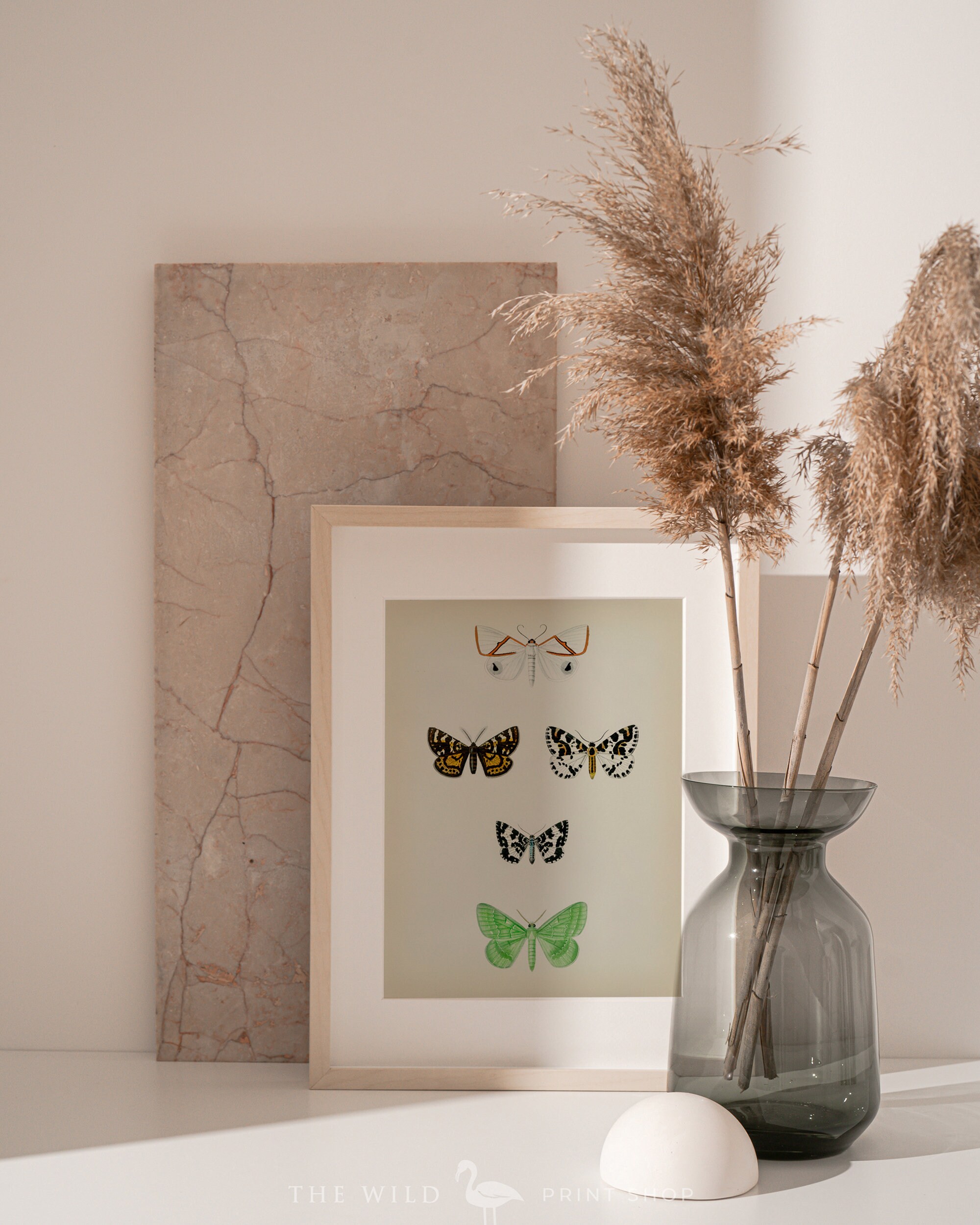 Vintage Butterfly Print Butterfly Art Print Butterfly Wall Etsy